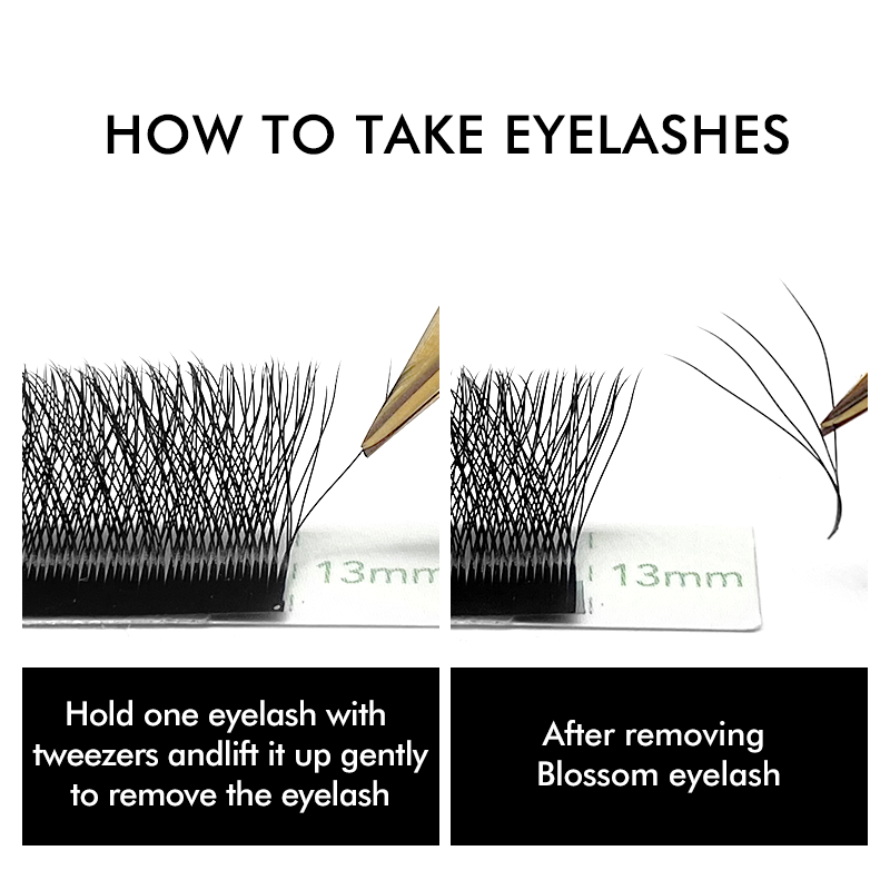 NATUHANA W-Shaped 4D 5D Volume - Eyelash Extension For Asian Eyes review and price